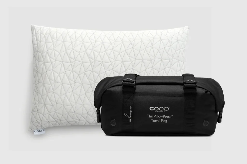 Coop Home Goods Travel Pillow